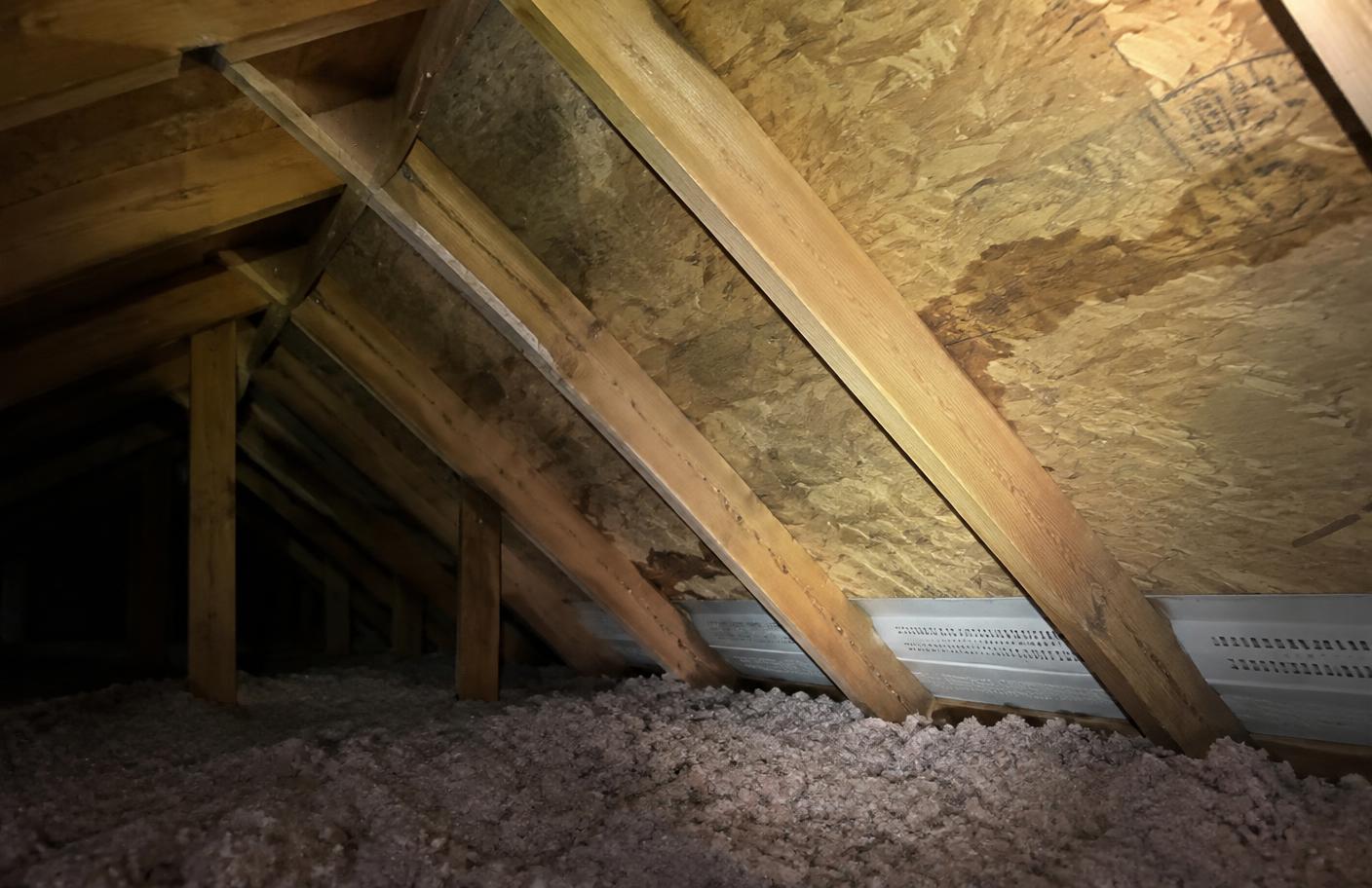 Attic rafters and roof deck with an old water stain and eave vents